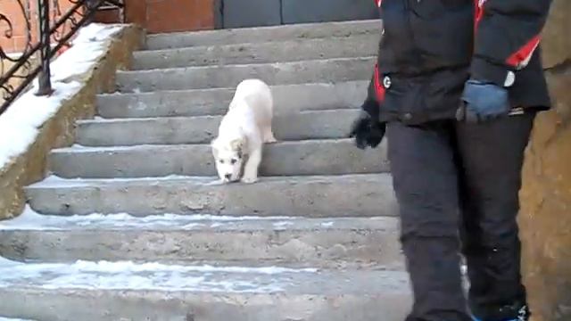 Нашей дочке от Эвра и Эрканы 2 месяца, декабрь 2011 г. смотреть онлайн