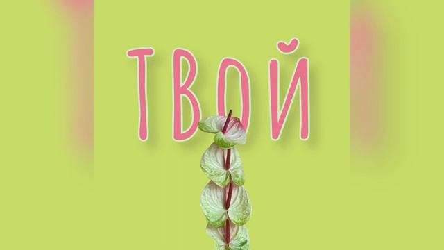 Выпуск 1|Зачем ходить на мастер-классы по флористике и что такое сезонный цветок?