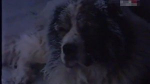 Лома - забытый друг