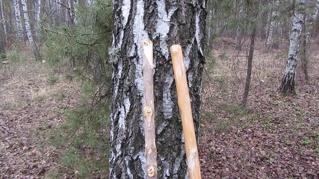 Сделал палки для скандинавской ходьбы своими руками))
