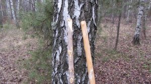 Сделал палки для скандинавской ходьбы своими руками))