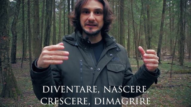 Переходные и непереходные глаголы в итальянском языке | verbi transitivi e intransitivi смотреть онлайн