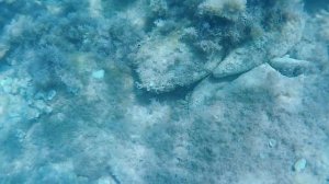 Море 2024(Кабардинка)