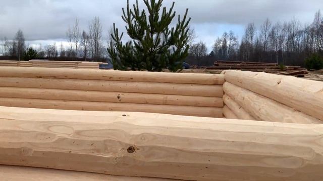 Сруб дома или бани 6х4 рубленный в лапу КРУГЛЯК смотреть онлайн