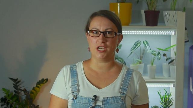 Питание растений. Часть 2. смотреть онлайн