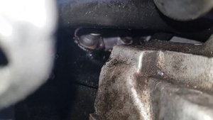 Масло в развале блока ауди а6с5 2.5tdi