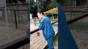 В Чебоксарах зоопарке