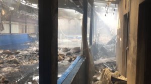 пожар дельфинарий