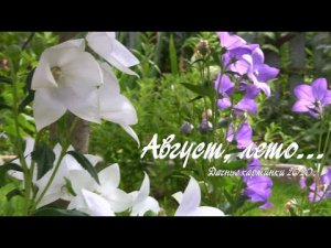 Август, лето... Дачные картинки 2020.