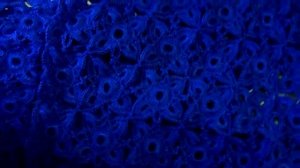 Шарф с рукавами, шарф кофта или шарф трансформер крючком