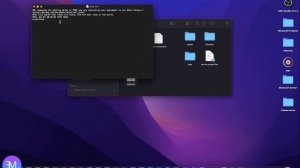 Как создать сервер в майнкрафт на MacOS?