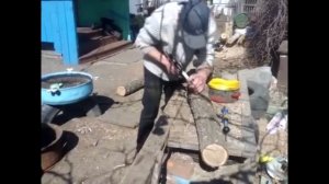 Выращивание грибов Шиитаке, Гериций  на пнях Growing Shiitake mushrooms, Hericium on stumps