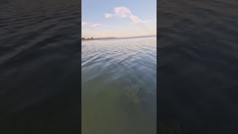 Дочка решила зайти в воду кайраккумского моря