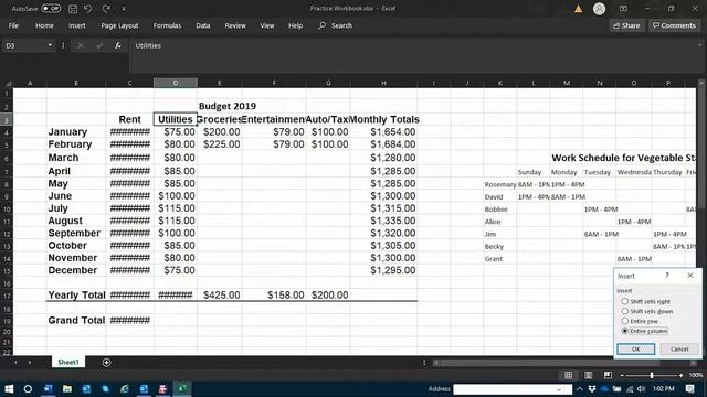Inserting Rows and Columns in Excel смотреть онлайн