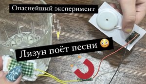 Делаем эксперимент «Поющий лизун»