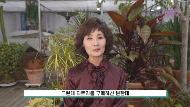 [2024 첫번째 BOGO DAY 4] 한번쯤 망설였던 오일들 이번 할인행사로 체험해보는거, 어떠세요? 티트리, 브라이트닝 딥 폼인 오일, 젠도크린, 유칼립투스 #할인 смотреть онлайн