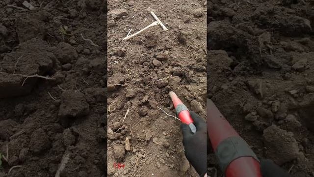 Нокта симплекс плюс рулит !!! Второй выход с этим МД и обратно древнее серебро и не тольк !!! ???