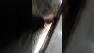Коптильня камера из холодильника