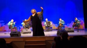 Чёрный кот за углом MAH05217