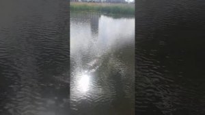 ПРОДОЛЖАЕМ РЫБАЛКУ НА ОЗЕРЕ В ТЮМЕНИ