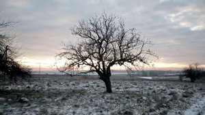 Деревня Погореловка