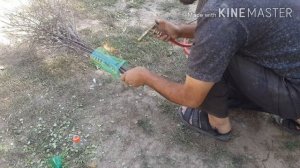 Самодельки из пластиковых бутылок