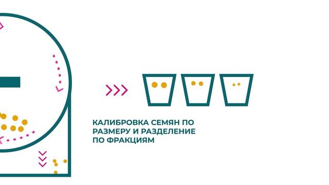 Схема подготовки и инкрустации семян в «Бетагран Семена» смотреть онлайн