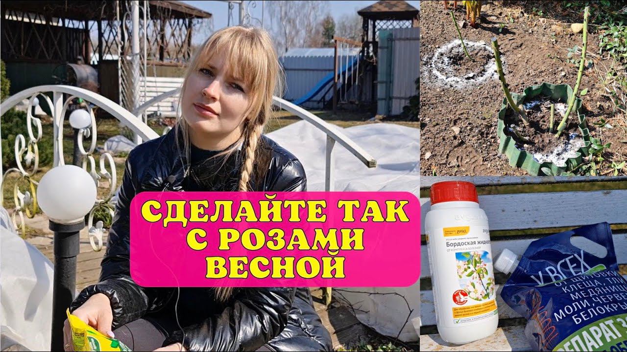 Это ВАЖНО СДЕЛАТЬ ВЕСНОЙ! Первая обработка роз ОТ БОЛЕЗНЕЙ И ВРЕДИТЕЛЕЙ и другие садовые хлопоты