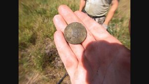 Что можно найти в земле металлоискателем. Коп советских монет. Поиск кладов с металлоискателем 2020