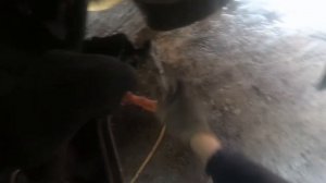 Dodge. Stratus. Замена передних рычагов.