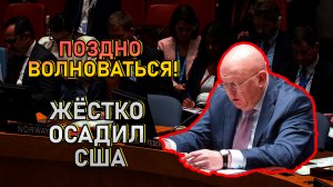 "ПОЗДНО ПЕРЕЖИВАТЬ" НЕБЕНЗЯ ОСАДИЛ США