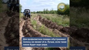 Противопожарная минерализованная полоса