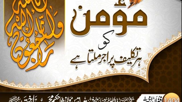 Hakim Muhammad Akter Sahab - Momin ko har takleef per ajar milta hai смотреть онлайн