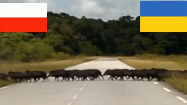 Ускоренная Евроинтеграция