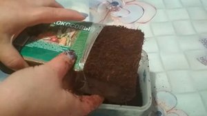 Учимся готовить кокосовый грунт .