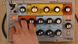 Обзор аналогового синтезатора Moog Sirin.