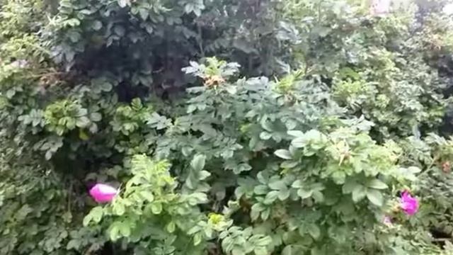 Берегите природу!