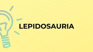 What is the meaning of the word LEPIDOSAURIA?