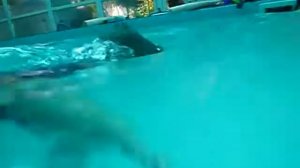 гидрореабилитация в Школе АФК Добжиных