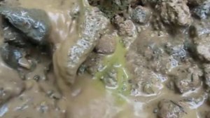 Хозяйка горы