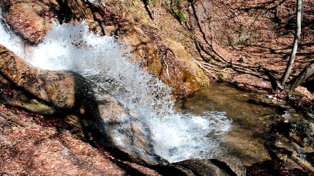 DSC_1533 смотреть онлайн