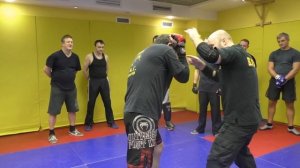 Агрессивная защита и атака локтями, предплечьями в S.P.A.S. (street fighting S.P.A.S.)