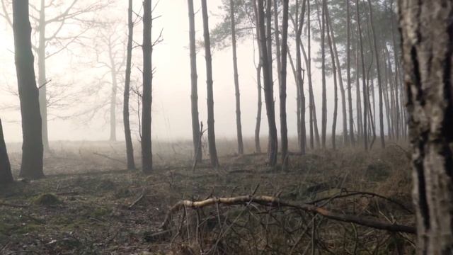 Шаг назад - в чем польза.mp4 смотреть онлайн