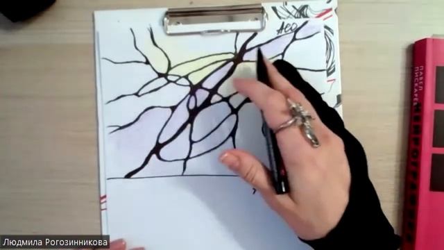 АСО и АСО - экспресс. В чём отличие ?