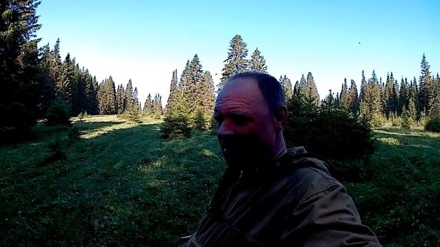 НАЧАЛО СЕНОКОСА//ТЕСТ РОТОРНОЙ КОСИЛКИ И ОТЗЫВ О НЕЙ//деревенские будни