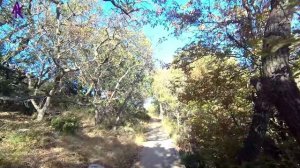 Крым. ЮБК. Гаспра. По пути на Ласточкино Гнездо (наконец-то повесили табличку). Запись от 31.10.23