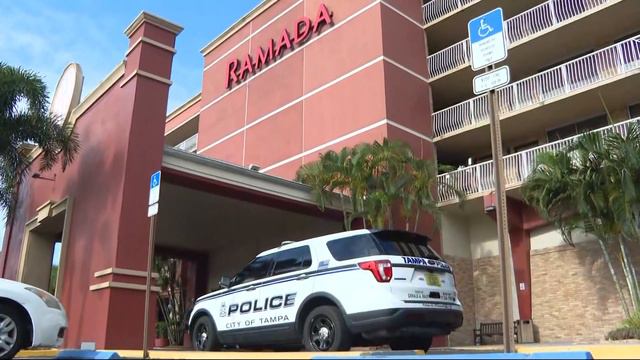 Detectives investigating after woman dies falling from 5th floor of Tampa hotel смотреть онлайн