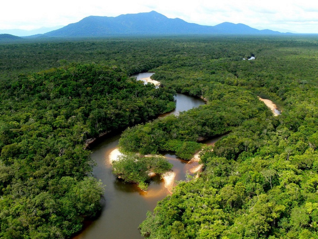 Невероятные леса Амазонии и медитативная музыка.
