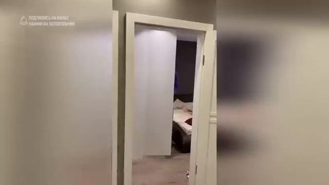 Смешные видео