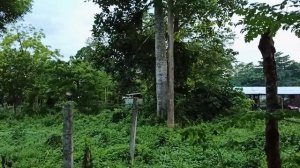 ОСТРОВ САД САМАЛ ФИЛИППИНЫ / ЖИЗНЬ НА ОСТРОВЕ